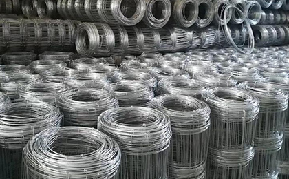 養(yǎng)鹿網(wǎng)