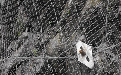 勾花網(wǎng) 勾花網(wǎng)