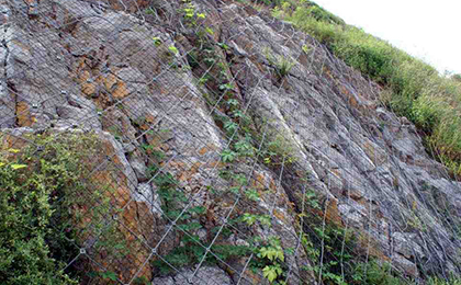  邊坡綠化網(wǎng)