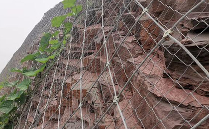 勾花網(wǎng) 勾花網(wǎng)